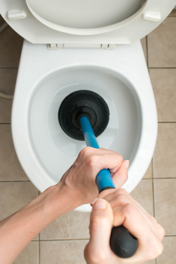 five things you should never flush - haye's plumbing